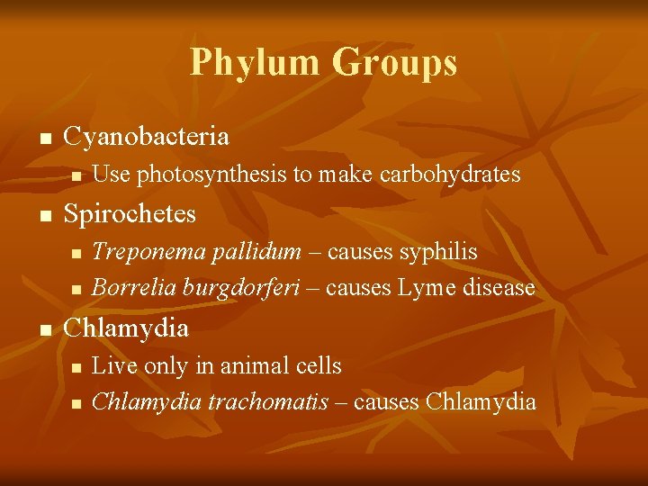 Phylum Groups n Cyanobacteria n n Spirochetes n n n Use photosynthesis to make