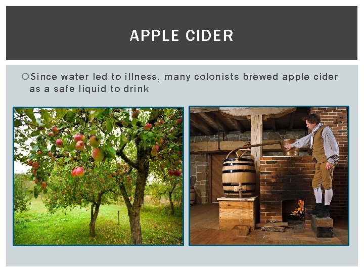 APPLE CIDER Since water led to illness, many colonists brewed apple cider as a