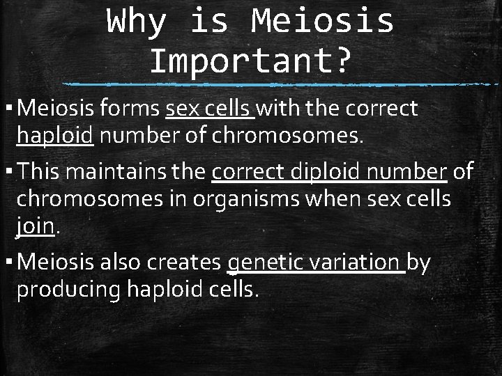 Why is Meiosis Important? ▪ Meiosis forms sex cells with the correct haploid number