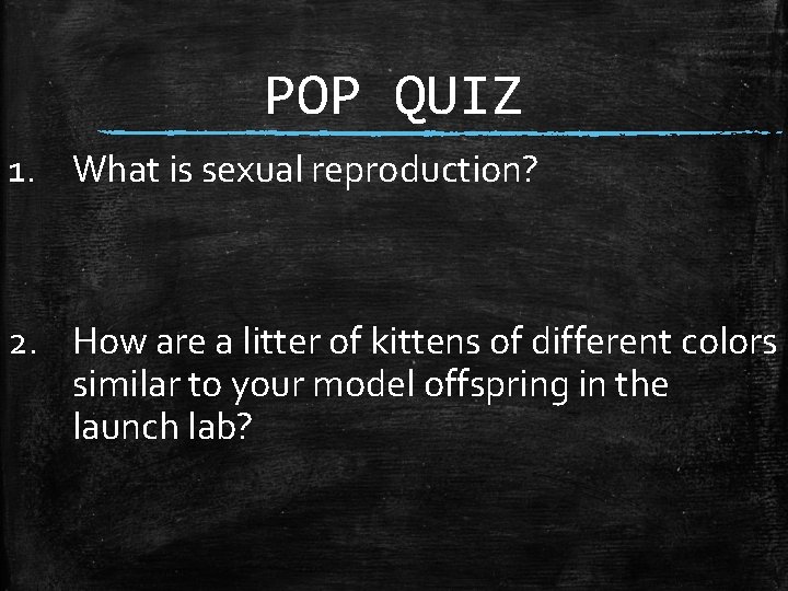 POP QUIZ 1. What is sexual reproduction? 2. How are a litter of kittens