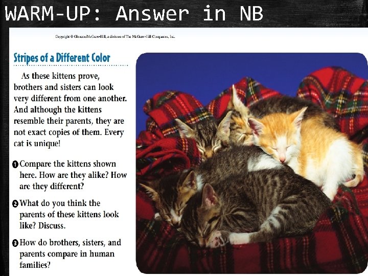 WARM-UP: Answer in NB 