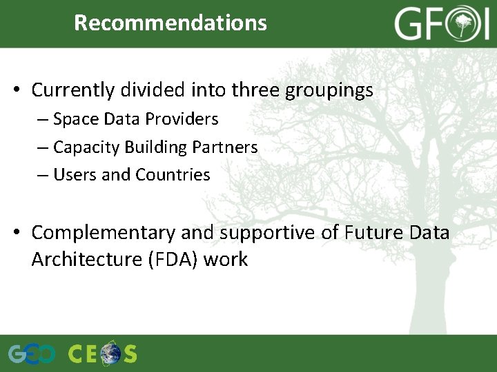 Recommendations • Currently divided into three groupings – Space Data Providers – Capacity Building