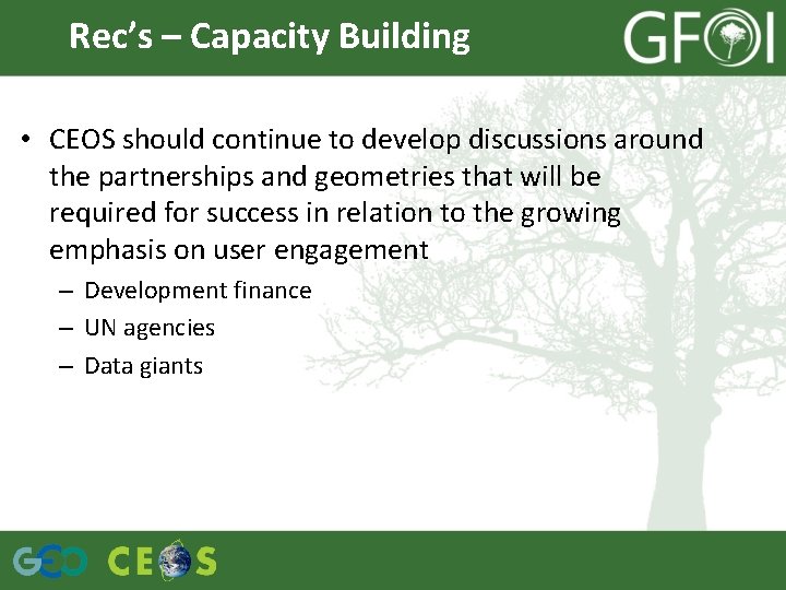 Rec’s – Capacity Building • CEOS should continue to develop discussions around the partnerships