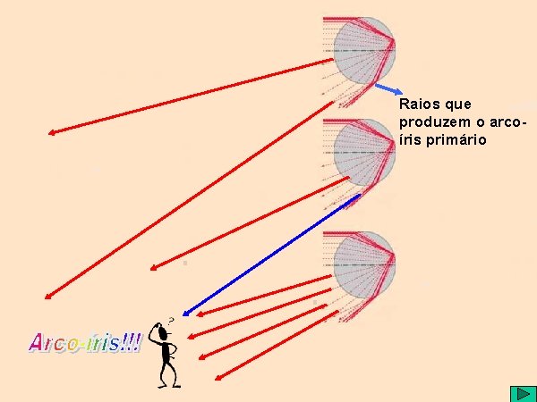 Raios que produzem o arcoíris primário 