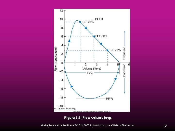 Figure 3 -8. Flow-volume loop. Mosby items and derived items © 2011, 2006 by