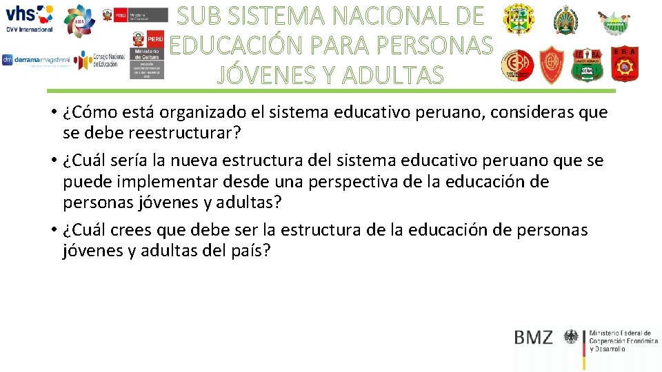 SUB SISTEMA NACIONAL DE EDUCACIÓN PARA PERSONAS JÓVENES Y ADULTAS • ¿Cómo está organizado