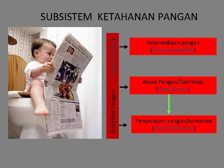 Stabilitas Pangan ( food Stability) SUBSISTEM KETAHANAN PANGAN Ketersediaan pangan ( Food Availability) Akses