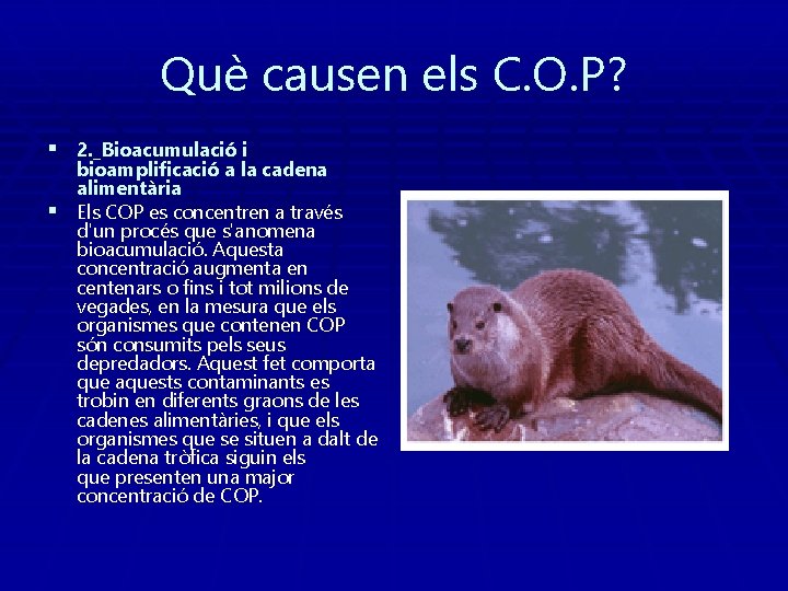 Què causen els C. O. P? § 2. _Bioacumulació i bioamplificació a la cadena