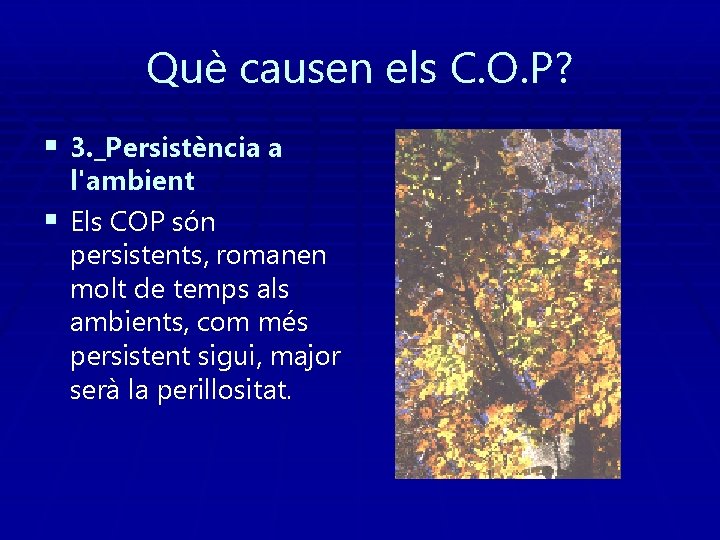 Què causen els C. O. P? § 3. _Persistència a l'ambient § Els COP