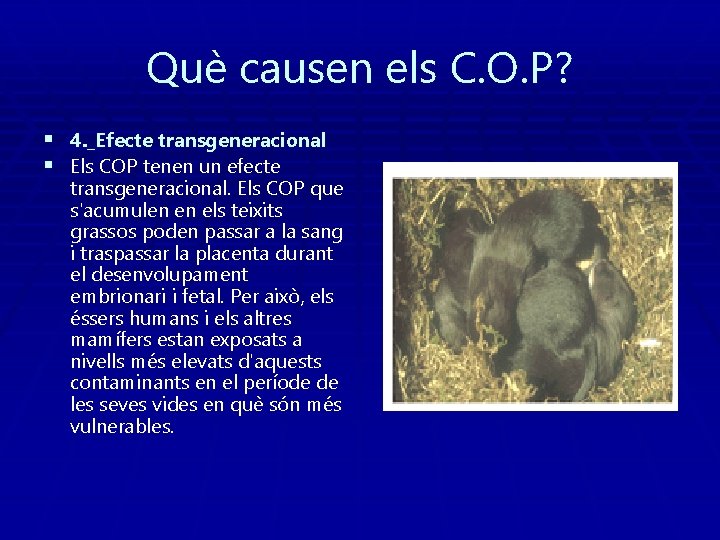 Què causen els C. O. P? § 4. _Efecte transgeneracional § Els COP tenen