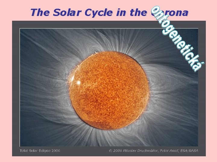 The Solar Cycle in the Corona 