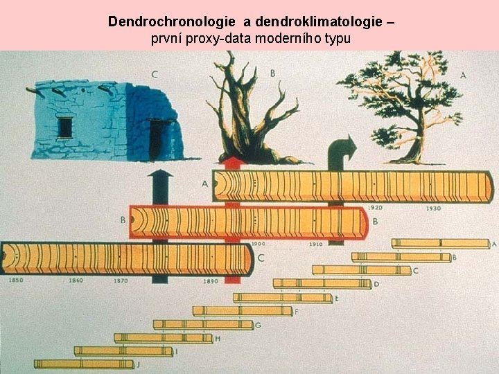 Dendrochronologie a dendroklimatologie – první proxy-data moderního typu 