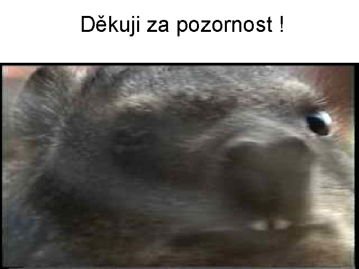 Děkuji za pozornost ! 