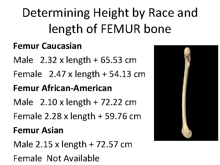 Determining Height by Race and length of FEMUR bone Femur Caucasian Male 2. 32