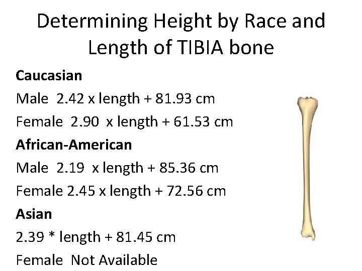 Determining Height by Race and Length of TIBIA bone Caucasian Male 2. 42 x