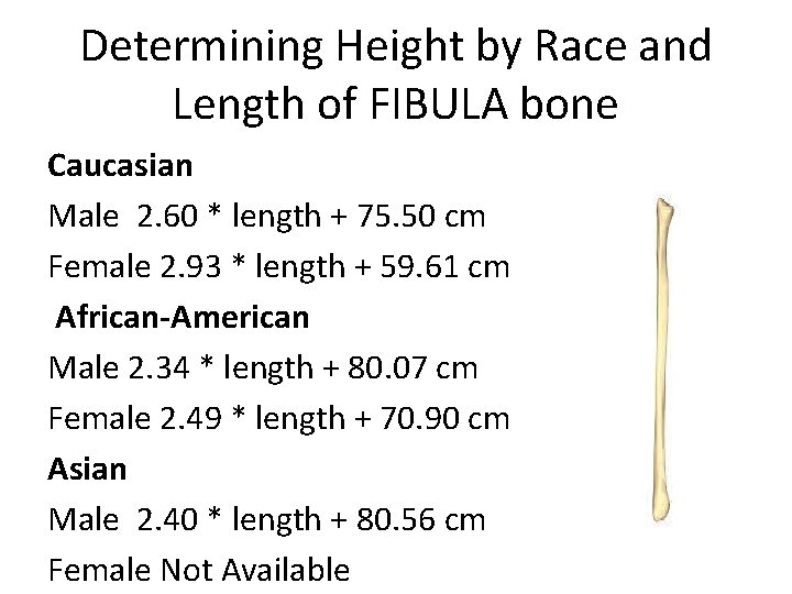 Determining Height by Race and Length of FIBULA bone Caucasian Male 2. 60 *