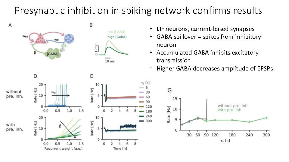 Presynaptic inhibition in spiking network confirms results • LIF neurons, current-based synapses • GABA