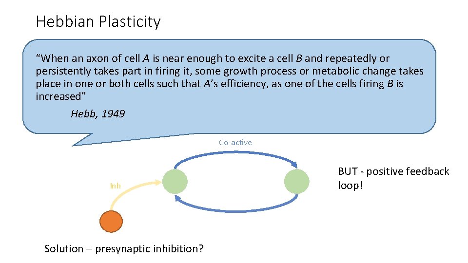 Hebbian Plasticity “When an axon of cell A is near enough to excite a