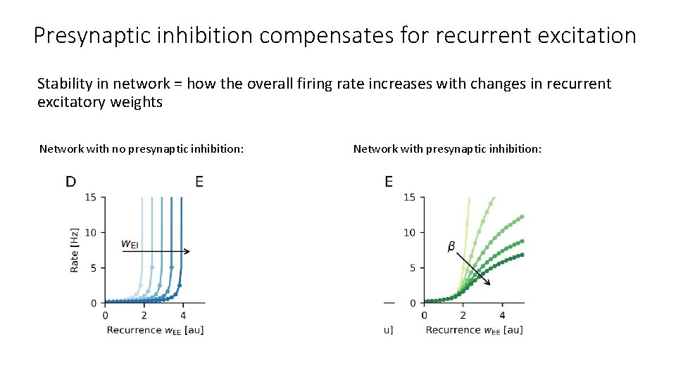 Presynaptic inhibition compensates for recurrent excitation Stability in network = how the overall firing