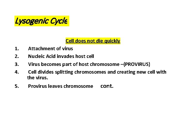 Lysogenic Cycle 1. 2. 3. 4. Cell does not die quickly Attachment of virus