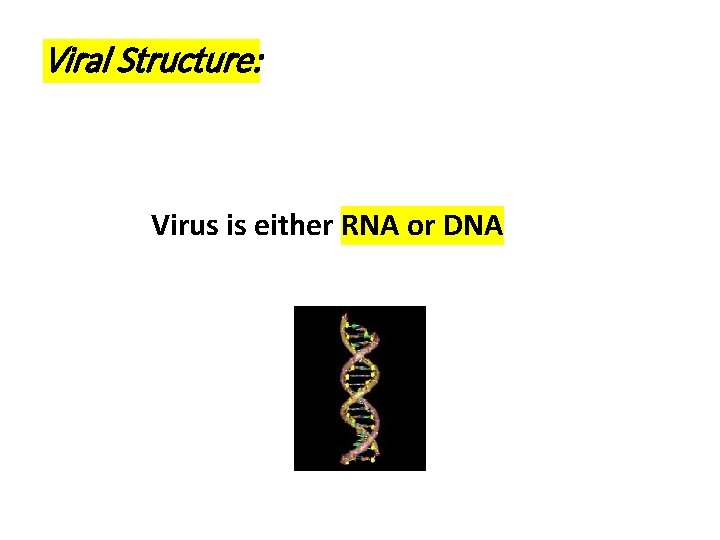 Viral Structure: Virus is either RNA or DNA 