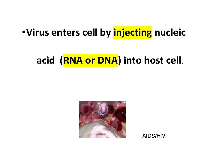  • Virus enters cell by injecting nucleic acid (RNA or DNA) into host