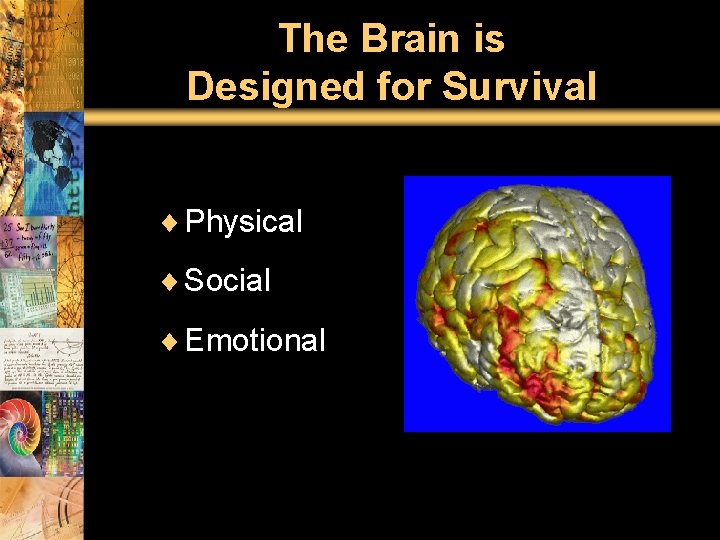 The Brain is Designed for Survival ¨ Physical ¨ Social ¨ Emotional 