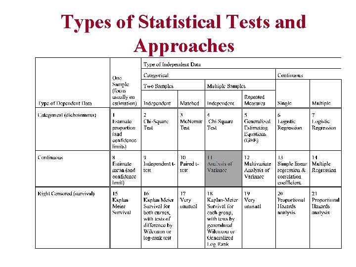 Types of Statistical Tests and Approaches 