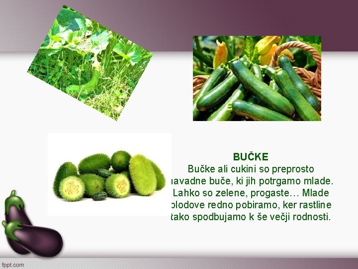 BUČKE Bučke ali cukini so preprosto navadne buče, ki jih potrgamo mlade. Lahko so