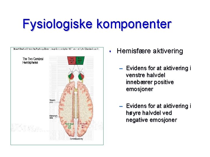 Fysiologiske komponenter s Hemisfære aktivering – Evidens for at aktivering i venstre halvdel innebærer