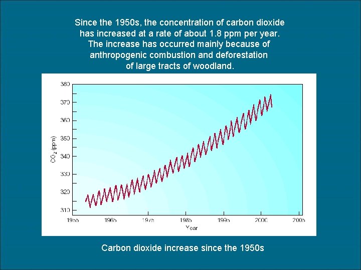 Since the 1950 s, the concentration of carbon dioxide has increased at a rate