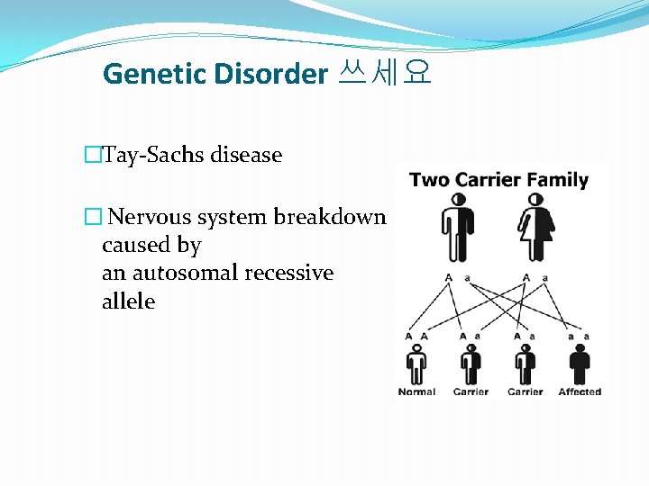 Genetic Disorder 쓰세요 �Tay-Sachs disease � Nervous system breakdown caused by an autosomal recessive Genetic Disorder 쓰세요 �Tay-Sachs disease � Nervous system breakdown caused by an autosomal recessive