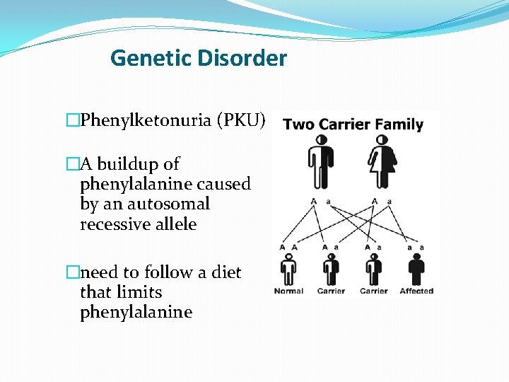 Genetic Disorder �Phenylketonuria (PKU) �A buildup of phenylalanine caused by an autosomal recessive allele Genetic Disorder �Phenylketonuria (PKU) �A buildup of phenylalanine caused by an autosomal recessive allele