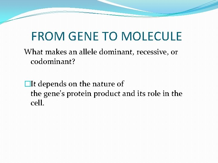 FROM GENE TO MOLECULE What makes an allele dominant, recessive, or codominant? �It depends FROM GENE TO MOLECULE What makes an allele dominant, recessive, or codominant? �It depends