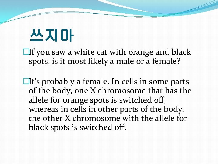 쓰지마 �If you saw a white cat with orange and black spots, is it 쓰지마 �If you saw a white cat with orange and black spots, is it