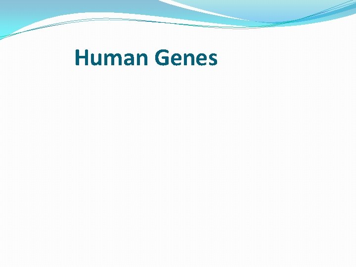 Human Genes Human Genes