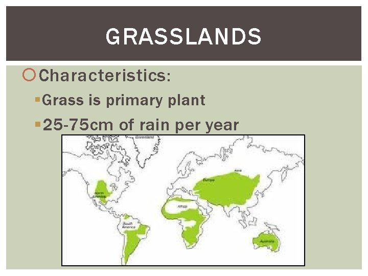 GRASSLANDS Characteristics: § Grass is primary plant § 25 -75 cm of rain per
