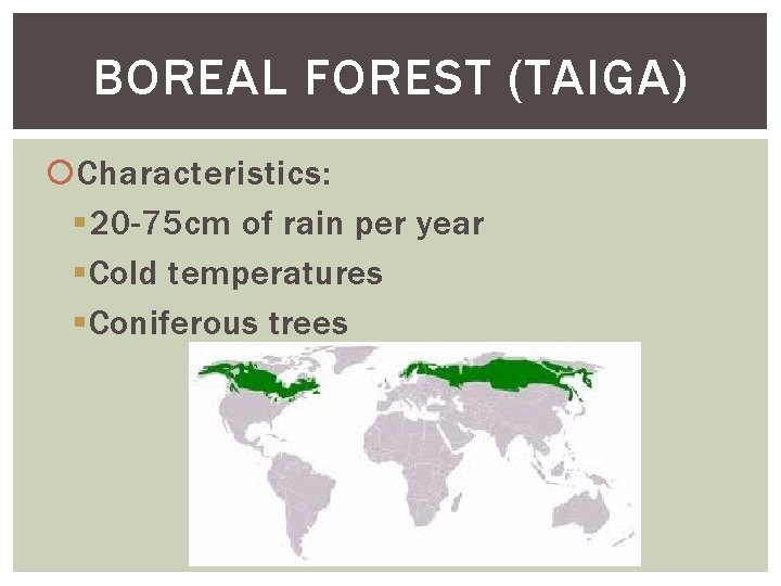 BOREAL FOREST (TAIGA) Characteristics: § 20 -75 cm of rain per year § Cold