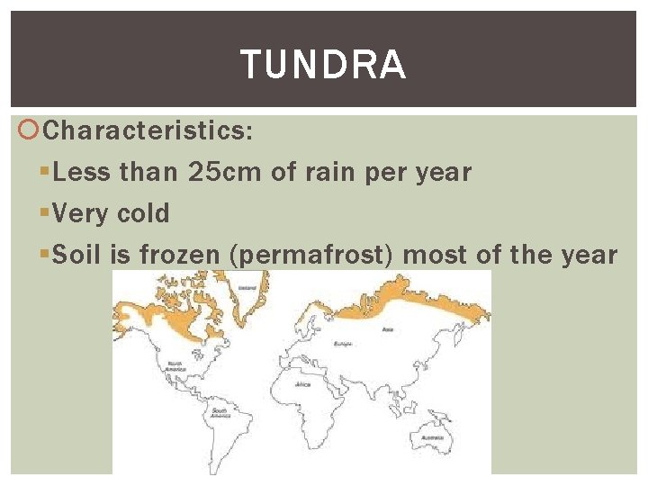 TUNDRA Characteristics: § Less than 25 cm of rain per year § Very cold