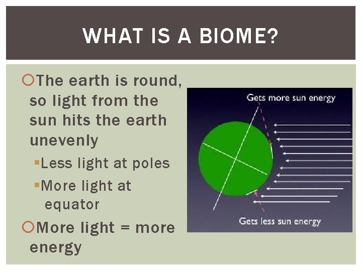 WHAT IS A BIOME? The earth is round, so light from the sun hits