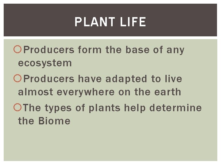 PLANT LIFE Producers form the base of any ecosystem Producers have adapted to live