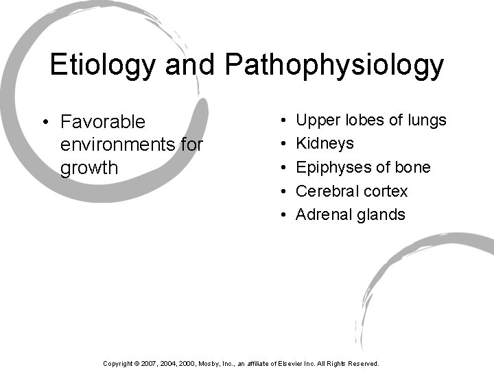 Etiology and Pathophysiology • Favorable environments for growth • • • Upper lobes of
