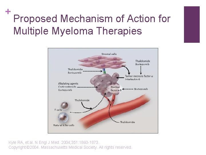 + Proposed Mechanism of Action for Multiple Myeloma Therapies Kyle RA, et al. N