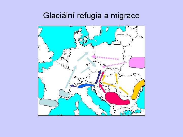 Glaciální refugia a migrace 