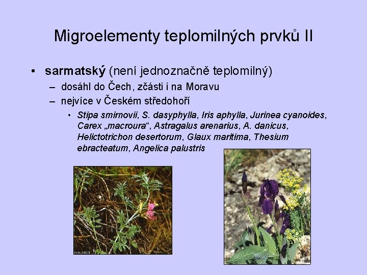 Migroelementy teplomilných prvků II • sarmatský (není jednoznačně teplomilný) – dosáhl do Čech, zčásti