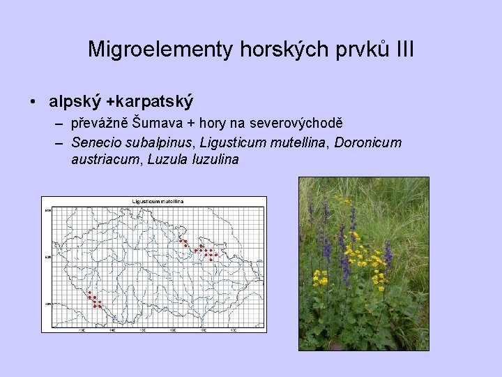 Migroelementy horských prvků III • alpský +karpatský – převážně Šumava + hory na severovýchodě