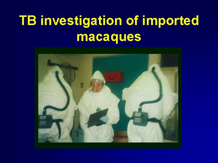 TB investigation of imported macaques 