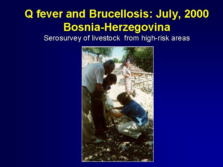 Q fever and Brucellosis: July, 2000 Bosnia-Herzegovina Serosurvey of livestock from high-risk areas 
