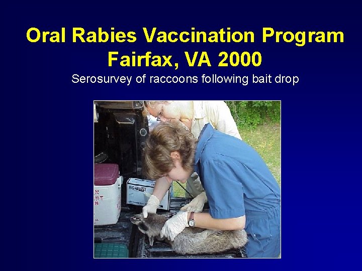 Oral Rabies Vaccination Program Fairfax, VA 2000 Serosurvey of raccoons following bait drop 