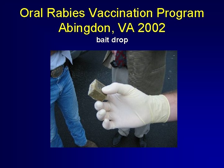 Oral Rabies Vaccination Program Abingdon, VA 2002 bait drop 